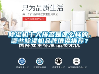 企業(yè)新聞除濕機十大排名是怎么樣的，哪些除濕機品牌值得推薦？