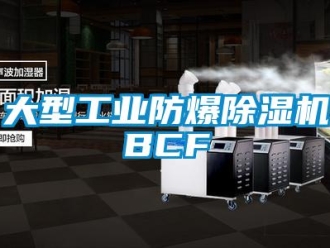 企業(yè)新聞大型工業(yè)防爆除濕機(jī)BCF