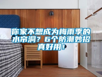 行業(yè)新聞你家不想成為梅雨季的水簾洞？6個(gè)防潮妙招真好用！