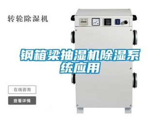 行業(yè)新聞鋼箱梁抽濕機(jī)除濕系統(tǒng)應(yīng)用