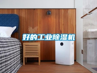 常見問題好的工業除濕機