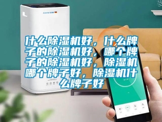 行業(yè)新聞什么除濕機好，什么牌子的除濕機好，哪個牌子的除濕機好，除濕機哪個牌子好，除濕機什么牌子好