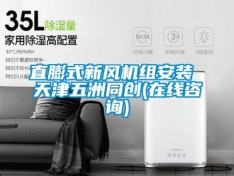 企業(yè)新聞直膨式新風(fēng)機(jī)組安裝 天津五洲同創(chuàng)(在線(xiàn)咨詢(xún))