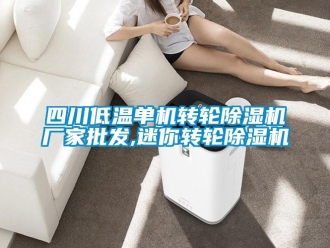 企業新聞四川低溫單機轉輪除濕機廠家批發,迷你轉輪除濕機