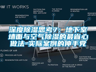 企業(yè)新聞深度除濕思考7：地下室墻面與空氣除濕的最省心做法-實際案例的伸手黨