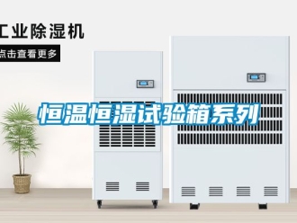 知識百科恒溫恒濕試驗箱系列