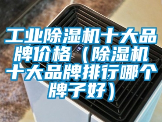 常見問題工業除濕機十大品牌價格（除濕機十大品牌排行哪個牌子好）