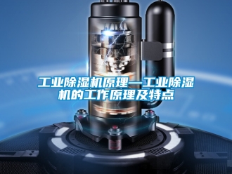 常見問題工業除濕機原理—工業除濕機的工作原理及特點