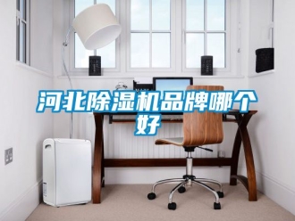 企業(yè)新聞河北除濕機(jī)品牌哪個(gè)好