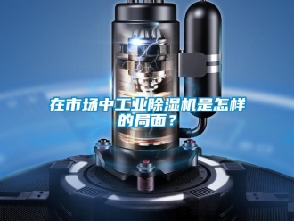 常見問題在市場中工業除濕機是怎樣的局面？