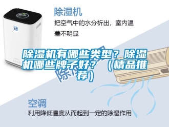 行業(yè)新聞除濕機有哪些類型？除濕機哪些牌子好？（精品推薦）