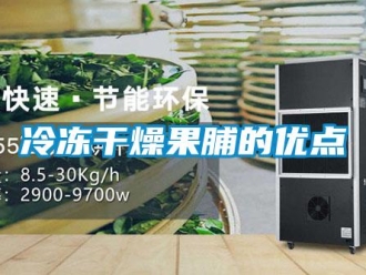 行業新聞冷凍干燥果脯的優點