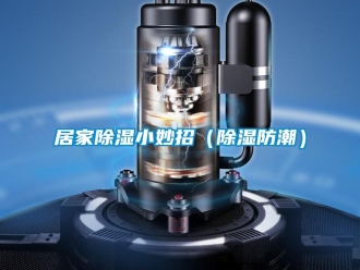 常見問題居家除濕小妙招（除濕防潮）