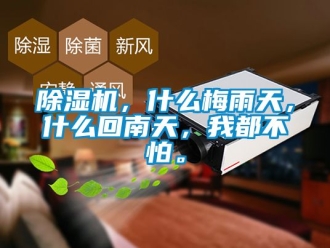 企業新聞除濕機，什么梅雨天，什么回南天，我都不怕。