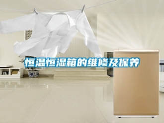 知識百科恒溫恒濕箱的維修及保養