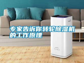 知識百科專家告訴你轉輪除濕機的工作原理