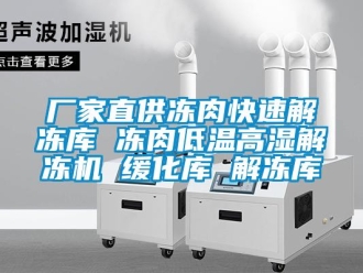 常見問題廠家直供凍肉快速解凍庫 凍肉低溫高濕解凍機 緩化庫 解凍庫