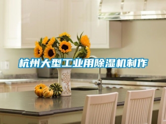 常見問題杭州大型工業用除濕機制作