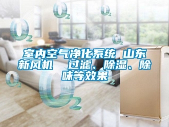 常見問題室內(nèi)空氣凈化系統(tǒng) 山東新風(fēng)機(jī)  過濾、除濕、除味等效果