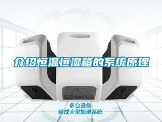 知識(shí)百科介紹恒溫恒濕箱的系統(tǒng)原理