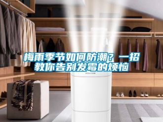 常見問題梅雨季節(jié)如何防潮？一招教你告別發(fā)霉的煩惱