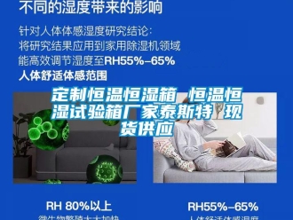 知識百科定制恒溫恒濕箱 恒溫恒濕試驗箱廠家泰斯特 現貨供應