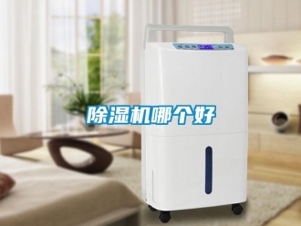 常見問題除濕機哪個好