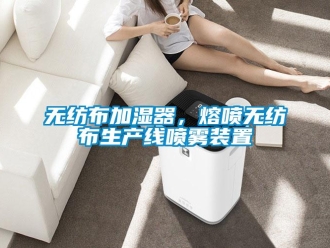 知識(shí)百科無(wú)紡布加濕器，熔噴無(wú)紡布生產(chǎn)線噴霧裝置