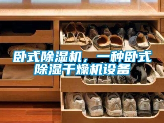 行業(yè)新聞臥式除濕機(jī)，一種臥式除濕干燥機(jī)設(shè)備