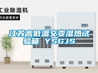 常見問題江蘇高低溫交變濕熱試驗(yàn)箱 YSGJS