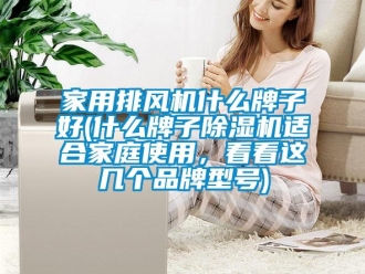 企業(yè)新聞家用排風(fēng)機什么牌子好(什么牌子除濕機適合家庭使用，看看這幾個品牌型號)