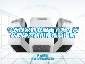 行業(yè)新聞今天你家的衣服干了嗎？高品質(zhì)除濕機推薦選購指南