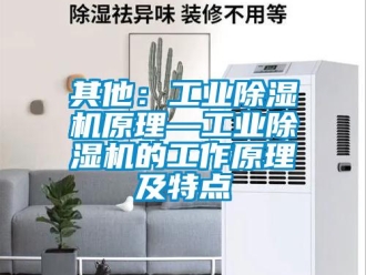 常見問題其他：工業除濕機原理—工業除濕機的工作原理及特點
