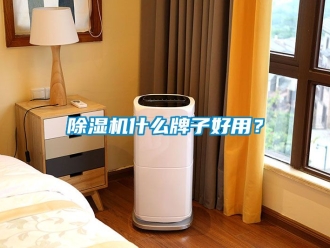 行業新聞除濕機什么牌子好用？