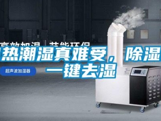 行業新聞悶熱潮濕真難受，除濕機一鍵去濕