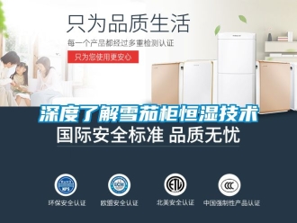 知識百科深度了解雪茄柜恒濕技術