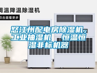 常見問題怒江州配電房除濕機，工業抽濕機  恒溫恒濕非標機器