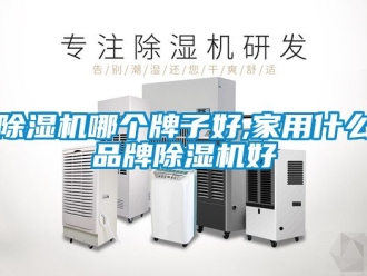 企業(yè)新聞除濕機(jī)哪個(gè)牌子好,家用什么品牌除濕機(jī)好