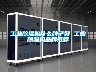 常見問題工業除濕機什么牌子好 工業除濕機品牌推薦