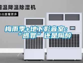 行業(yè)新聞梅雨季+地下影音室：“逃罪”還是陶醉