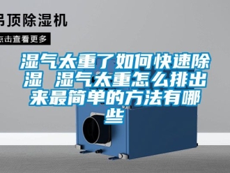 企業(yè)新聞濕氣太重了如何快速除濕 濕氣太重怎么排出來最簡單的方法有哪些