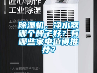 企業新聞除濕機，凈水器哪個牌子好？有哪些家電值得推薦？