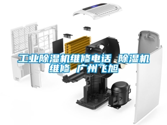 常見問題工業(yè)除濕機維修電話 除濕機維修 廣州飛旭