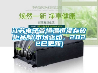 知識(shí)百科江蘇電子管恒溫恒濕存放柜品牌(市場(chǎng)驅(qū)動(dòng)，2022已更新)