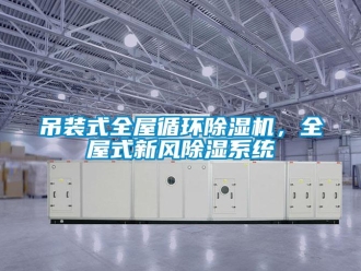 常見(jiàn)問(wèn)題吊裝式全屋循環(huán)除濕機(jī)，全屋式新風(fēng)除濕系統(tǒng)