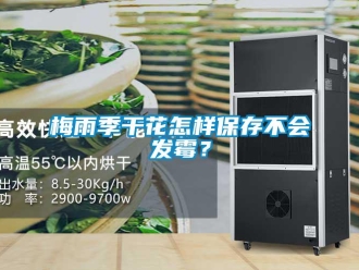 常見問(wèn)題梅雨季干花怎樣保存不會(huì)發(fā)霉？