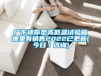 常見問題廣東迷你型高低溫試驗箱哪里有銷售2022已更新(今日／咨詢)