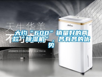 行業(yè)新聞大約“600”銷量好的兩款“除濕機(jī)”，各有各的優(yōu)勢(shì)