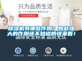 企業新聞除濕機有哪些作用？如此強大的作用還不知道的快來看！