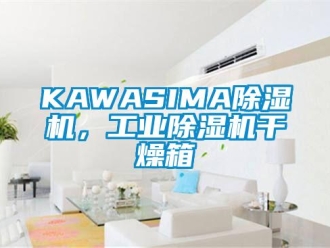 常見問題KAWASIMA除濕機，工業(yè)除濕機干燥箱